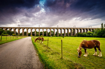 Horses eating grass at meadow with railway viaduct and beautiful blue sky in the background 