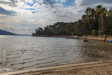 Beach of akyaka with pine and palm trees, mugla, turkey.