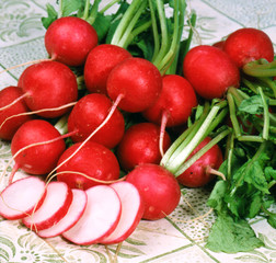 Red ripe radishes on a tablecloth