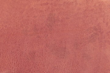 Texture of grunge leather
