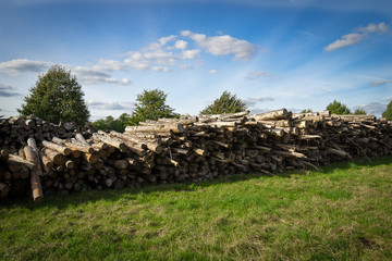 Piles of timber along the forest road in summertime