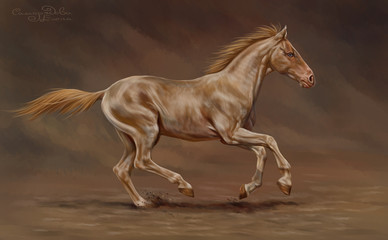 Plakat Конь