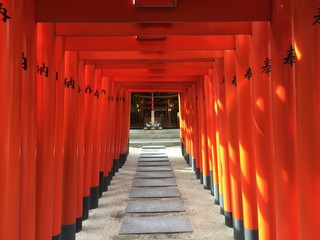 Indian Brass Oil Lamp