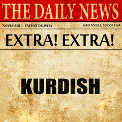 kurdish, article text in newspaper