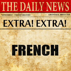 french, article text in newspaper