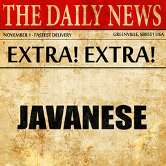 javanese, article text in newspaper