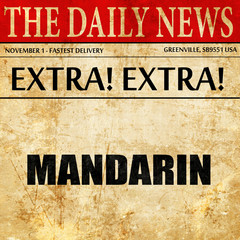 mandarin, article text in newspaper