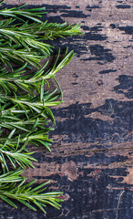 Organic food concept