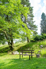 bench in a meadow