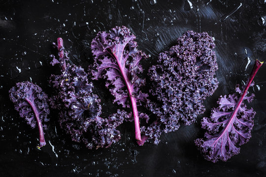 Purple kale on black background