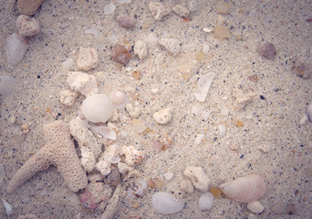 sand beach with rock frame with copyspace for text