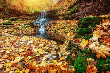 beautiful waterfall in forest autumn landscape. Beauty world