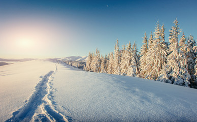 Obraz premium Fantastic winter landscape and trampled paths at sunset that lea