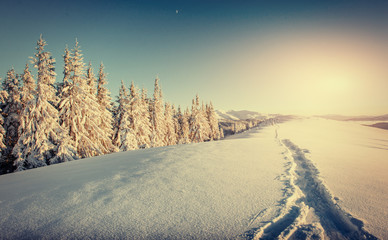 Fantastic winter landscape and trampled paths at sunset that lea - obrazy, fototapety, plakaty