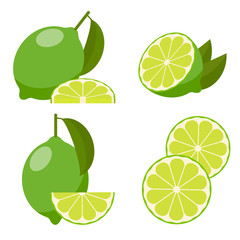 Icon set lime, vector.