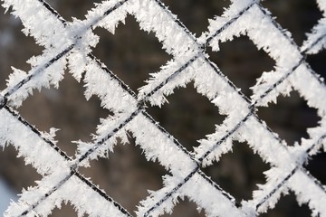 Rusty wire mesh fence covered with frost and hoarfrost with blurred background in the winter