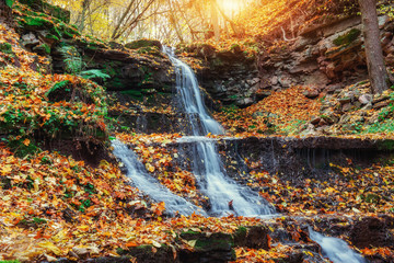 Waterfall in autumn sunlight. Beauty world. Carpathians. Ukraine Europe