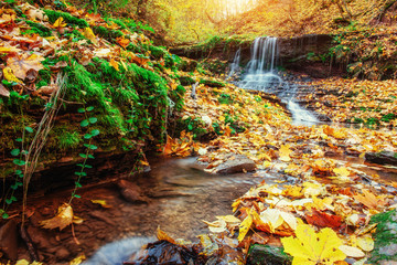 Waterfall in autumn sunlight. Beauty world. Carpathians. Ukraine. Europe