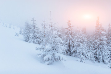 fog in winter mountains. Fantastic sunset.
