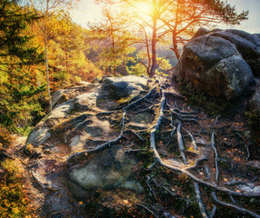 Huge stone in the forest area, in the sun.