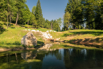 Small pond in the woods of the Alps.