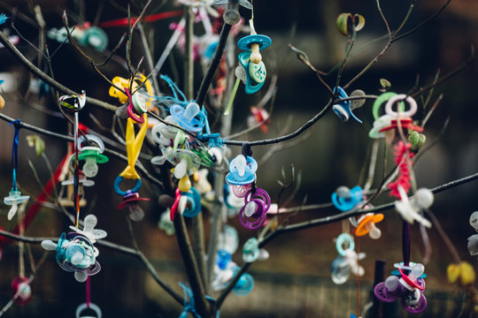 Schnullerbaum