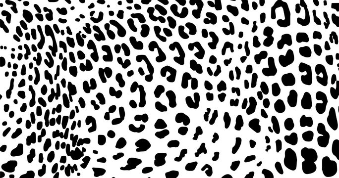 leopard pattern texture repeating seamless monochrome black white