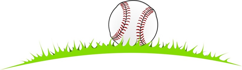 baseball ball in the grass