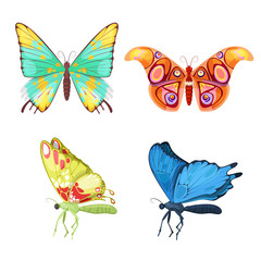 Colorful Butterflies Set. Vector illustration