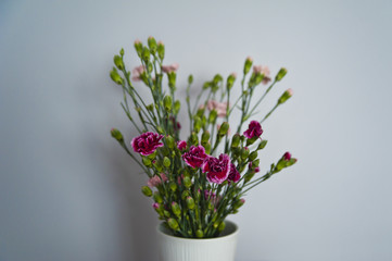Fototapeta Różowe goździki w wazonie, minimalizm obraz