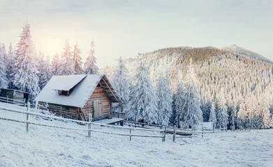 Fotobehang Winter landscape of snow-covered trees © standret