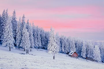 Schilderijen op glas Winterlandschap van besneeuwde bomen © standret
