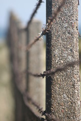 Zaun mit Stacheldraht 