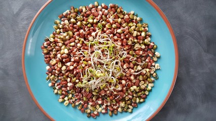 Seamless texture with legumes