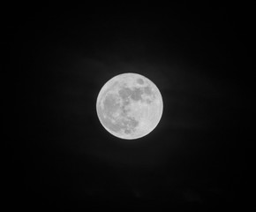 Fototapeta premium Full Moon