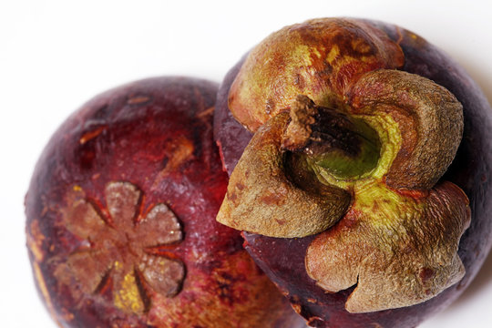 fruit Mangostin