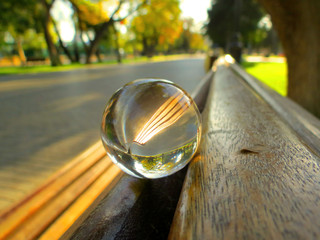 Crystal ball reflecting green park in spring