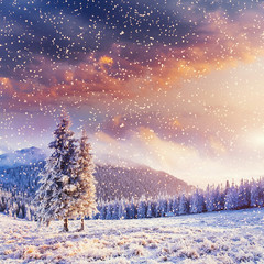 Fototapeta na wymiar magical winter landscape, background with some soft highlights a