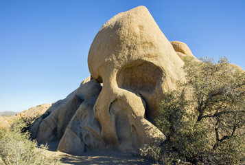 Skull Rock, Joshua Tree National Park
