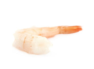 Single shrimp isolated