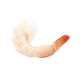Single shrimp isolated