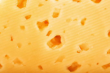 Texture Dutch cheese