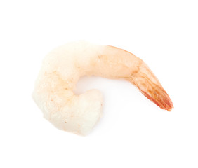 Single shrimp isolated