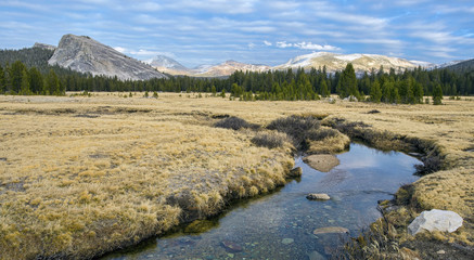 Tuolumne Meadows, Yosemite National Park