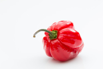 Red habanero pepper on a white background.