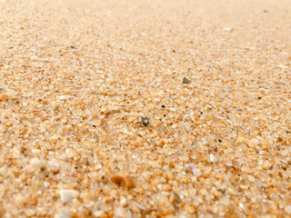 Natural sandy surface ocean sea beach backdrop top view background