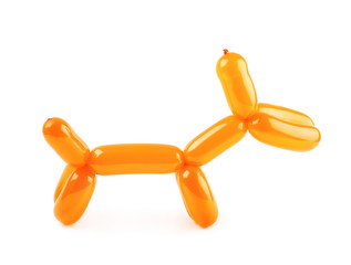 Puppy made of modelling balloon