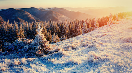 Fantastic winter landscape in the mountains. Magical sunset in a