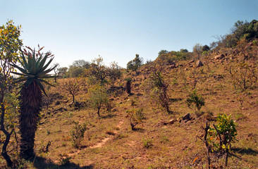 Hhenga Mountains, Swaziland