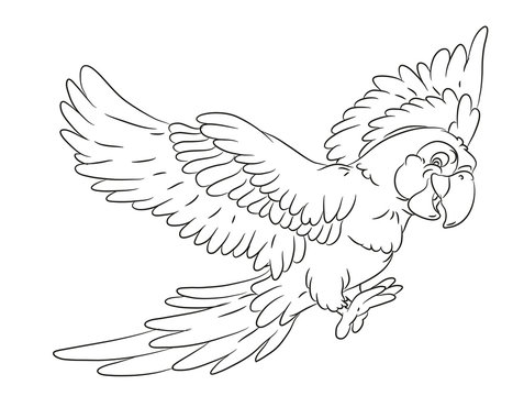 happy smiling cartoon parrot coloring page